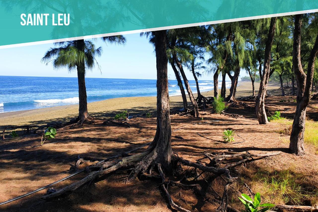 Le Jardin Des Tuit Tuit * Vue Mer * Cozy Saint-Leu Luaran gambar